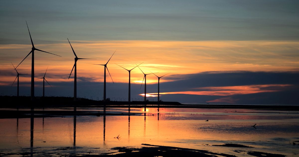 A wind farm by the shore